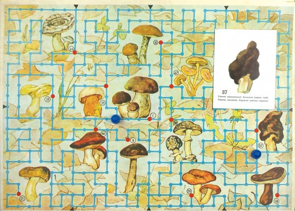 Детская настольная игра «За грибами». М, 1960-е гг.