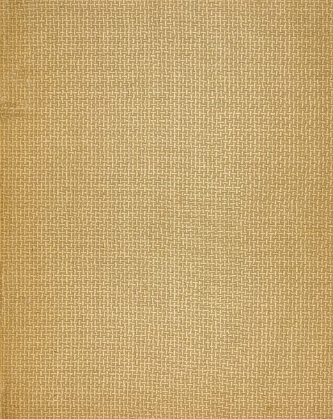 [Первая книга]. Блок, А. Стихи о прекрасной даме / обл. В. Владимирова. М.: Гриф, 1905.
