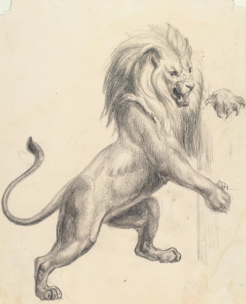 Обер Артемий Лаврентьевич (1843–1917) «Лев». 1880-е. Бумага, графитный карандаш, 19,5x16 см.
