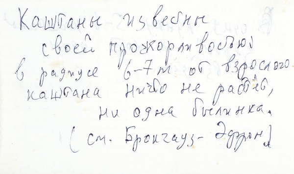 Записная книжка с «говорильными» записками Венедикта Ерофеева. После 1985. 67 листов.