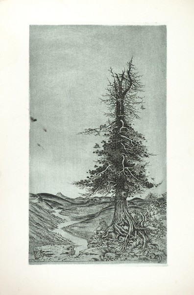 Утенков Демьян Михайлович (1948 - 2014) «Дерево». 1985. Бумага, офорт, 59,5 х 39,8 см (лист), 47,5 х 27,5 см (оттиск).