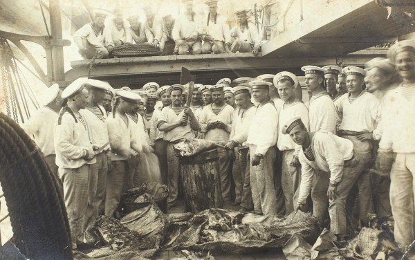 Подборка из двух фотографических открыток «Моряки минного отряда на миноносце „Рига“».