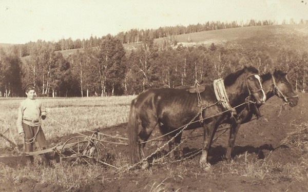 Подборка из пяти фотографических открыток «Частное сельское хозяйство на Руси».