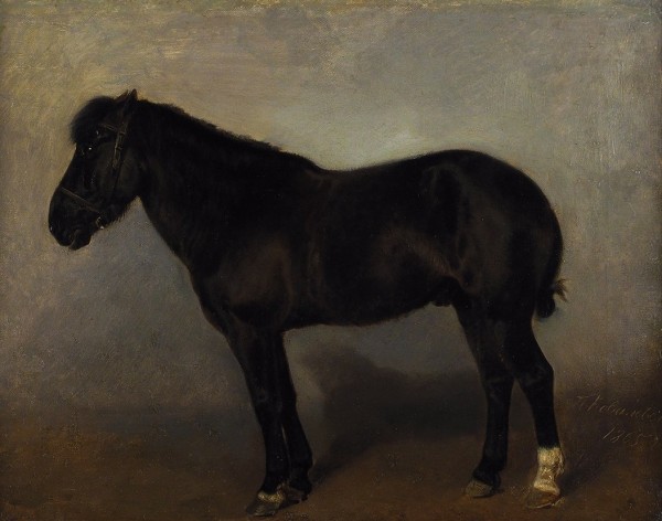Ковалевский Павел Осипович (1843–1903) «Темно-бурая рабочая лошадь». 1865. Холст, масло, 32 х 40,8 см.