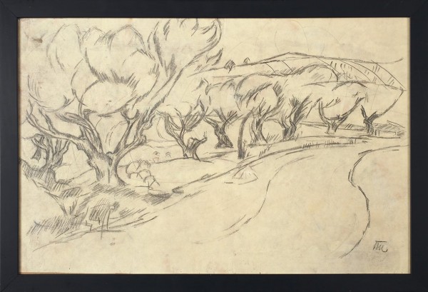 Кончаловский Петр Петрович (1876—1956) «Оливковое дерево». 1910. Бумага, итальянский карандаш, 32,5 х 49,3 см.
