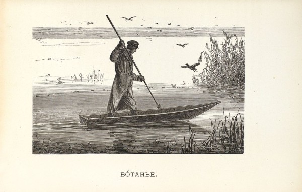 Сабанеев, Л.П. Жизнь рыб и рыболовство на зауральских озерах. М.: Тип. В. Готье, 1874.