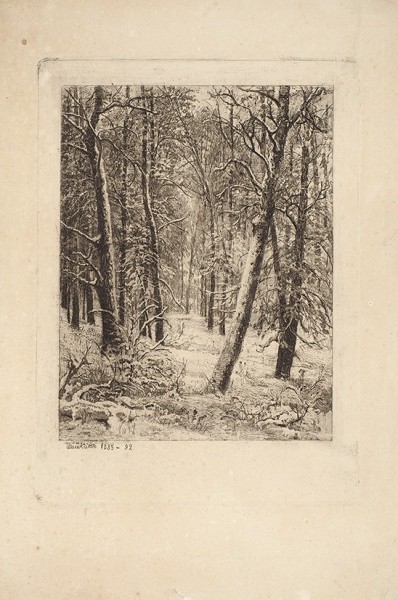 Шишкин Иван Иванович (1832—1898) «Зимой в лесу». 1885—1892. Бумага, офорт, шелк, 36,7 х 25 см (лист), 25,8 х 18,8 см (оттиск).